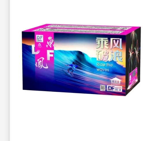 乘風破浪/勇往直前